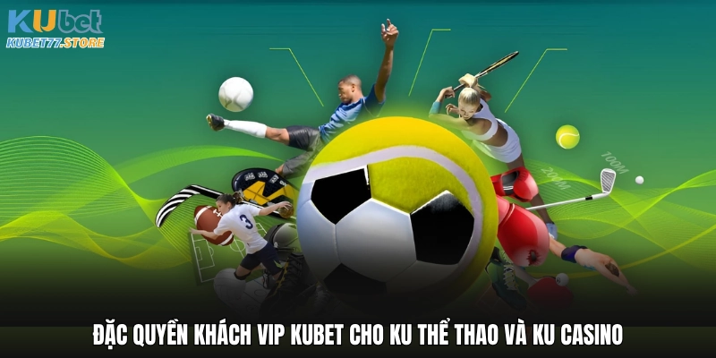 Đặc quyền khách VIP Kubet cho KU Thể thao và KU Casino