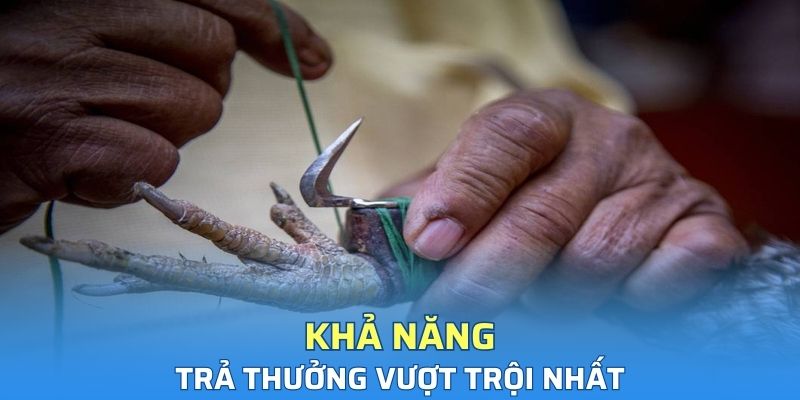 Khả năng trả thưởng vượt trội nhất
