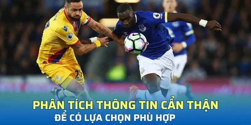 Phân tích thông tin cẩn thận để có lựa chọn phù hợp
