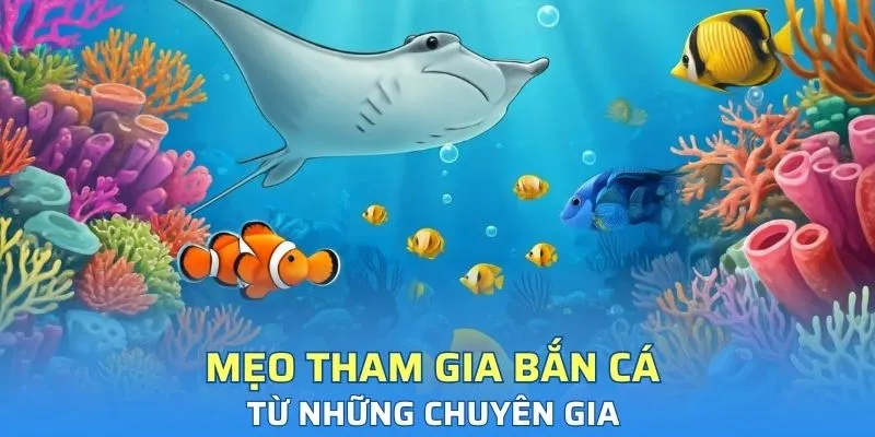 Bí quyết tham gia từ những cao thủ